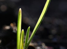 356374_R_K_by_TiberiusK_pixelio.de