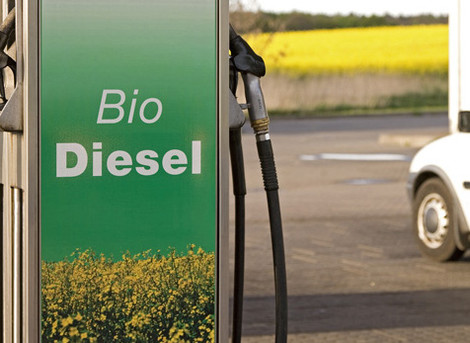 Auch Investments in "Bio"-Kraftstoffe sind grüne Geldanlagen, deren Nachhaltigkeit mittlerweile schwer in Zweifel gezogen wird. (Foto: Brigitte Hiss/BMU)