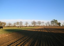 oekologische-landwirtschaft